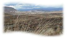 Venez decouvrir Rotorua